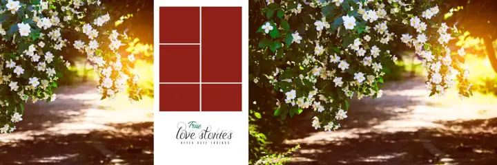 Charming & Modern Wedding Album 12x36 PSD with Damask Texture