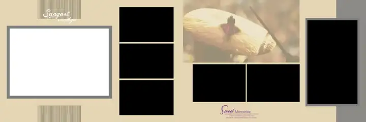 Golden Wedding Album 12x36 PSD – Glitter Accents
