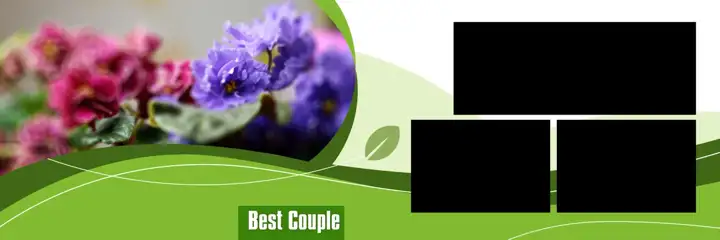 Regal & Royal Wedding Album 12x36 PSD with Brush Strokes