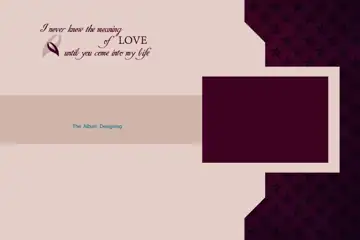 12x18 Wedding Album Cover PSD in Ornate Peacock Art Style