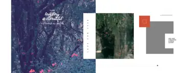 12x30 Karizma Photo Album PSD in Grand Peacock Art Style