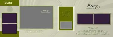 12x36 Engagement Wedding Album PSD in Elegant Brush Strokes Style