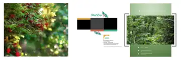 12x36 Pre-Wedding Album Background PSD in Premium Watercolour Splash Style