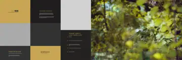Album Background 12x36 PSD – Stylish Brush Strokes Design