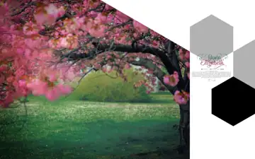 Album Cover PSD in Modern Rose Petals Style