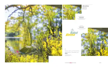 Artistic Silk Texture Album Background PSD