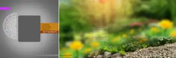 Charming Album Background 12x36 PSD for Wedding – Kolam Pattern