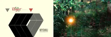 Free Bright Pre-Wedding Album Background PSD – Rose Petals