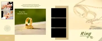 Free Elegant Wedding Photo Album 12x30 PSD – Paisley Pattern