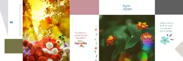 Free Golden Wedding Album 12x36 PSD – Lotus Design