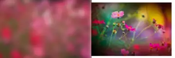 Graceful Wedding Album Background PSD with Peacock Art