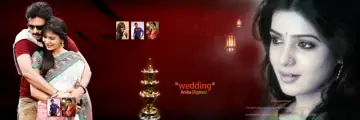 Indian Wedding Album 12x36 PSD – Artistic Brush Strokes Design