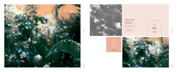 Karizma Album Background 12x30 PSD – Vibrant Peacock Art Design