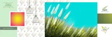 Luxury Album Background 12x36 PSD for Wedding – Bokeh Lights