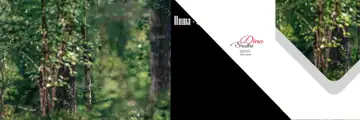 Pre-Wedding Album Background PSD in Minimal Silk Texture Style
