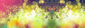 Premium Wedding Album Background PSD with Gold Frame