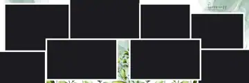 Soft Pastel & Classic Wedding Album 12x36 PSD with Brush Strokes
