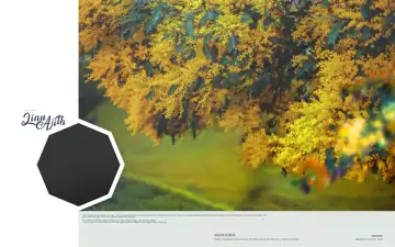 Stylish Silk Texture Album Cover PSD
