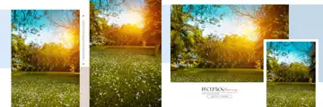 Timeless Wedding Album Background 12x36 PSD with Kolam Pattern