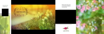 Traditional Album Background 12x36 PSD for Wedding – Peacock Art